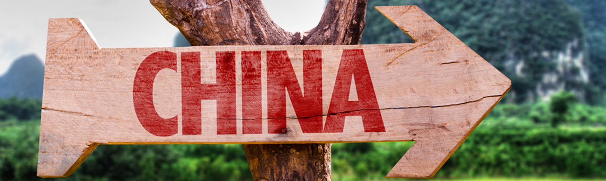 slider_china slider_china
